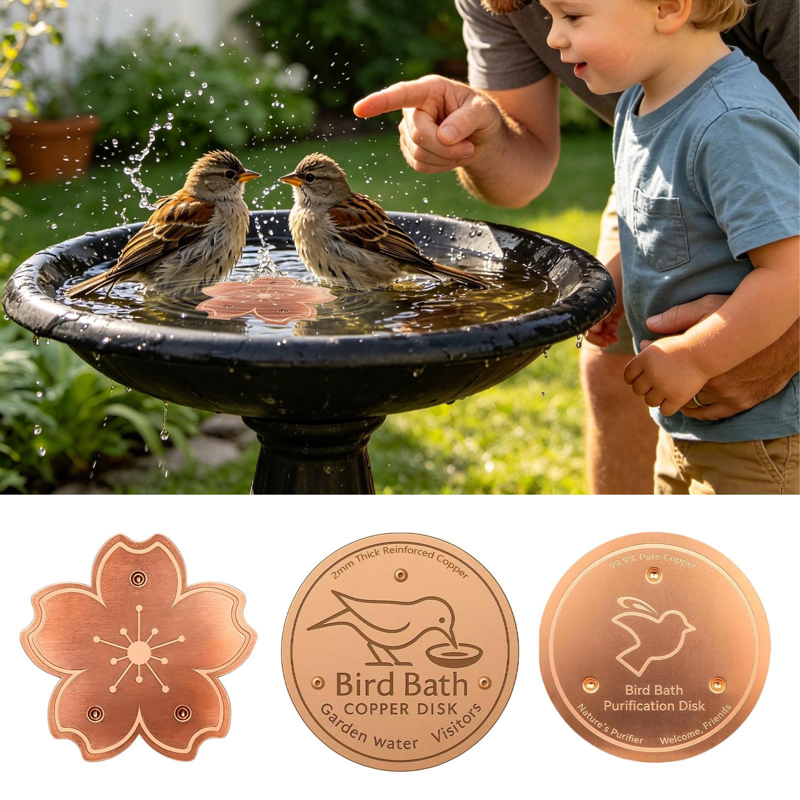 Copper For Bird Bath Safe Puri - Watches & Jewelry Repair Center New York Reviews 리뷰 및 가격