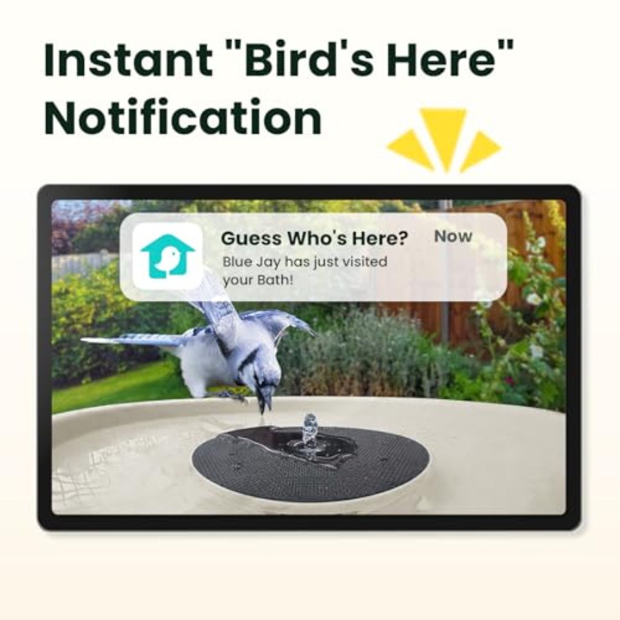 Bird Watching Smart Bird Bath  - Watches & Jewelry Repair Center New York Reviews 리뷰 및 가격