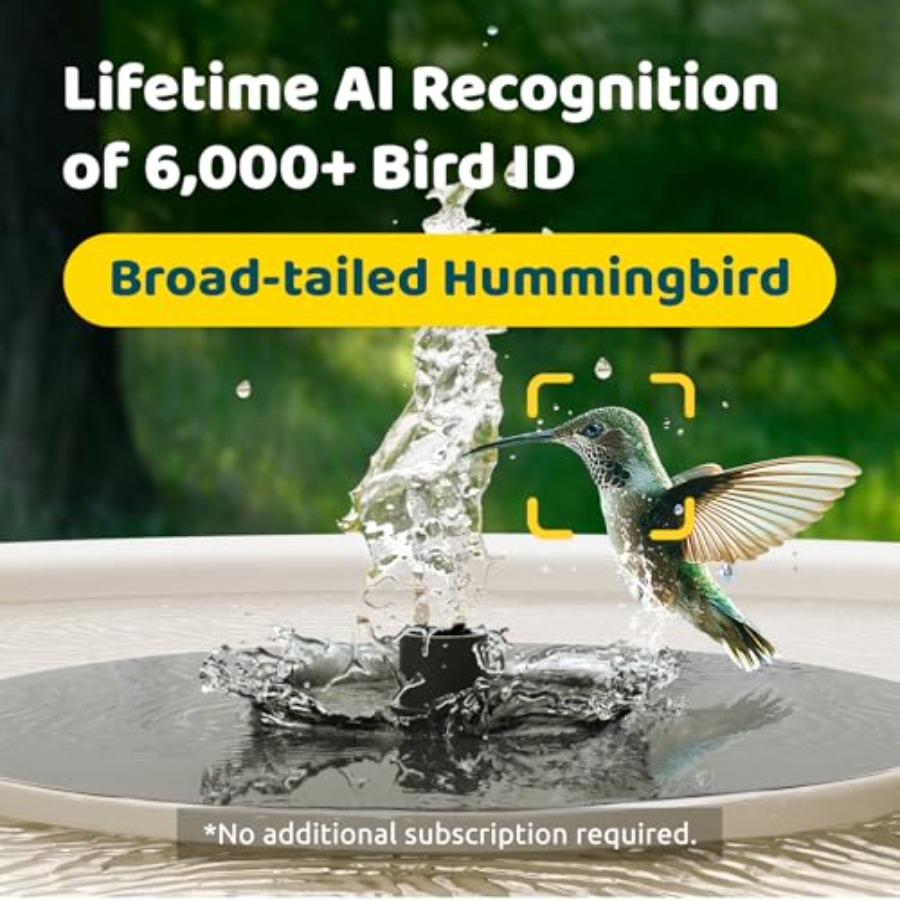 Bird Watching Smart Bird Bath  - Watches & Jewelry Repair Center New York Reviews 리뷰 및 가격
