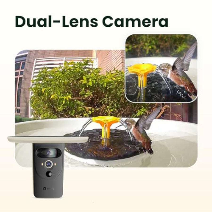 Bird Watching Smart Bird Bath  - Watches & Jewelry Repair Center New York Reviews 리뷰 및 가격