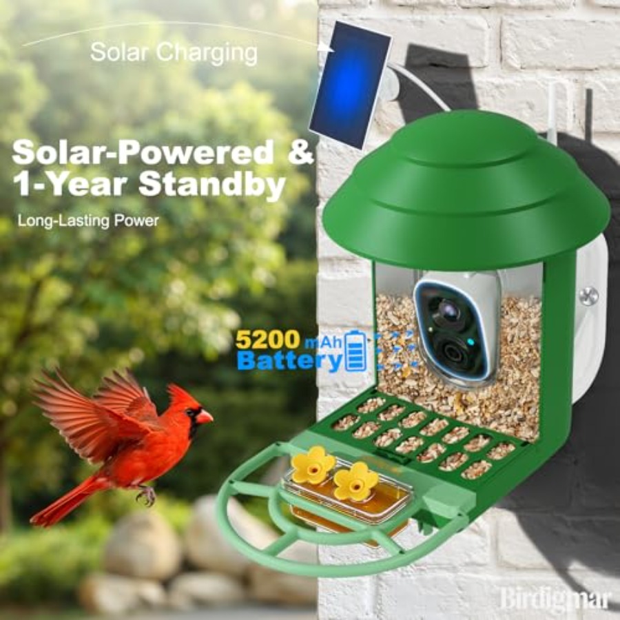 Bird Feeder with Camera for Ou - Watches & Jewelry Repair Center New York Reviews 리뷰 및 가격