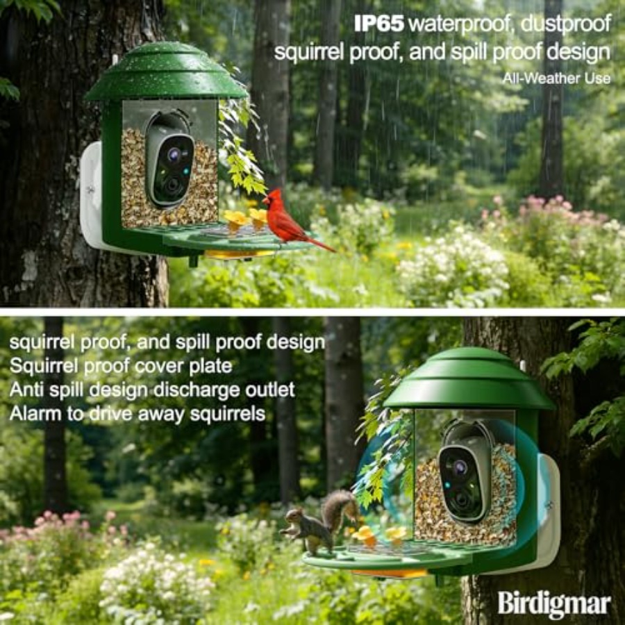 Bird Feeder with Camera for Ou - Watches & Jewelry Repair Center New York Reviews 리뷰 및 가격
