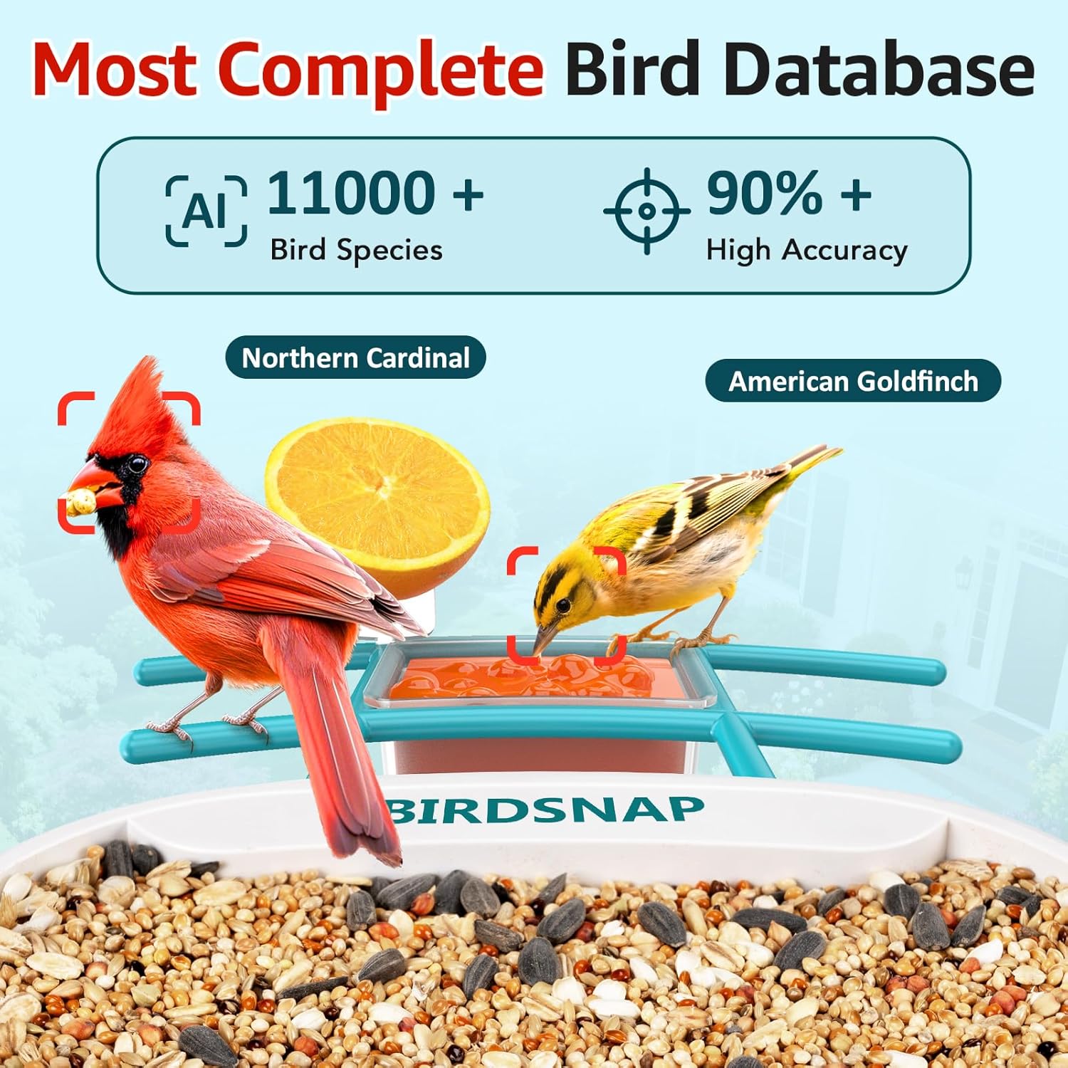 2K HD Bird Feeder Camera with  - Watches & Jewelry Repair Center New York Reviews 리뷰 및 가격